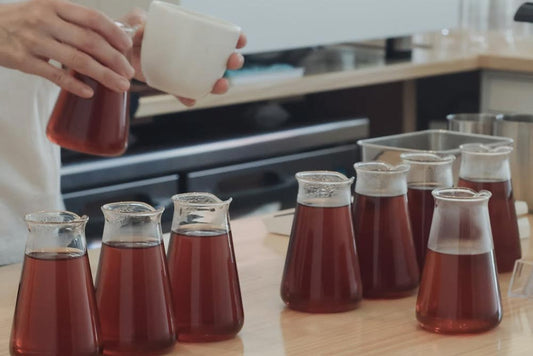 新しいサービスのご案内